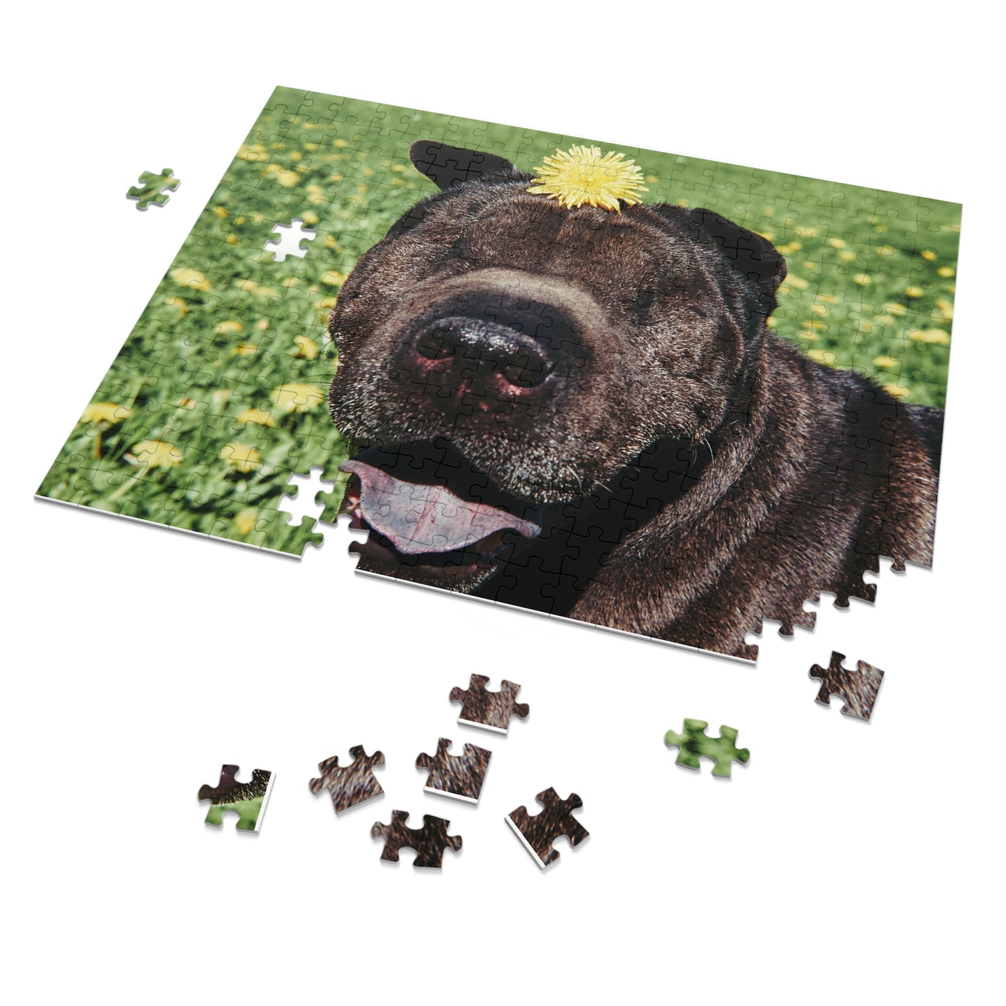 Children's Smiling Shar Pei Jigsaw Puzzle - 30/110/252 Pieces