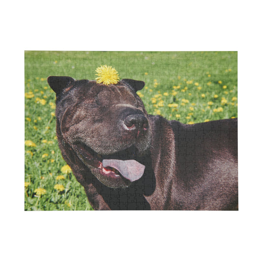 Puzzle – Happy Shar-Pei Dog in Dandelion Field – 252/500 Pieces