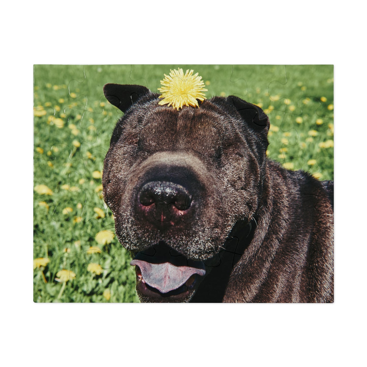 Children's Smiling Shar Pei Jigsaw Puzzle - 30/110/252 Pieces