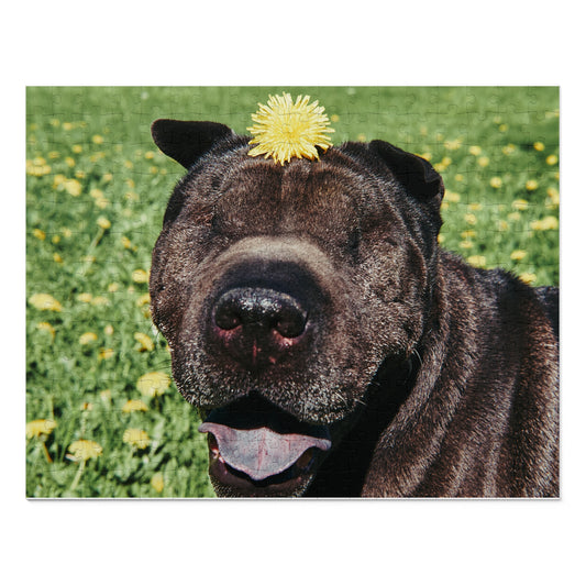 Children's Smiling Shar Pei Jigsaw Puzzle - 30/110/252 Pieces