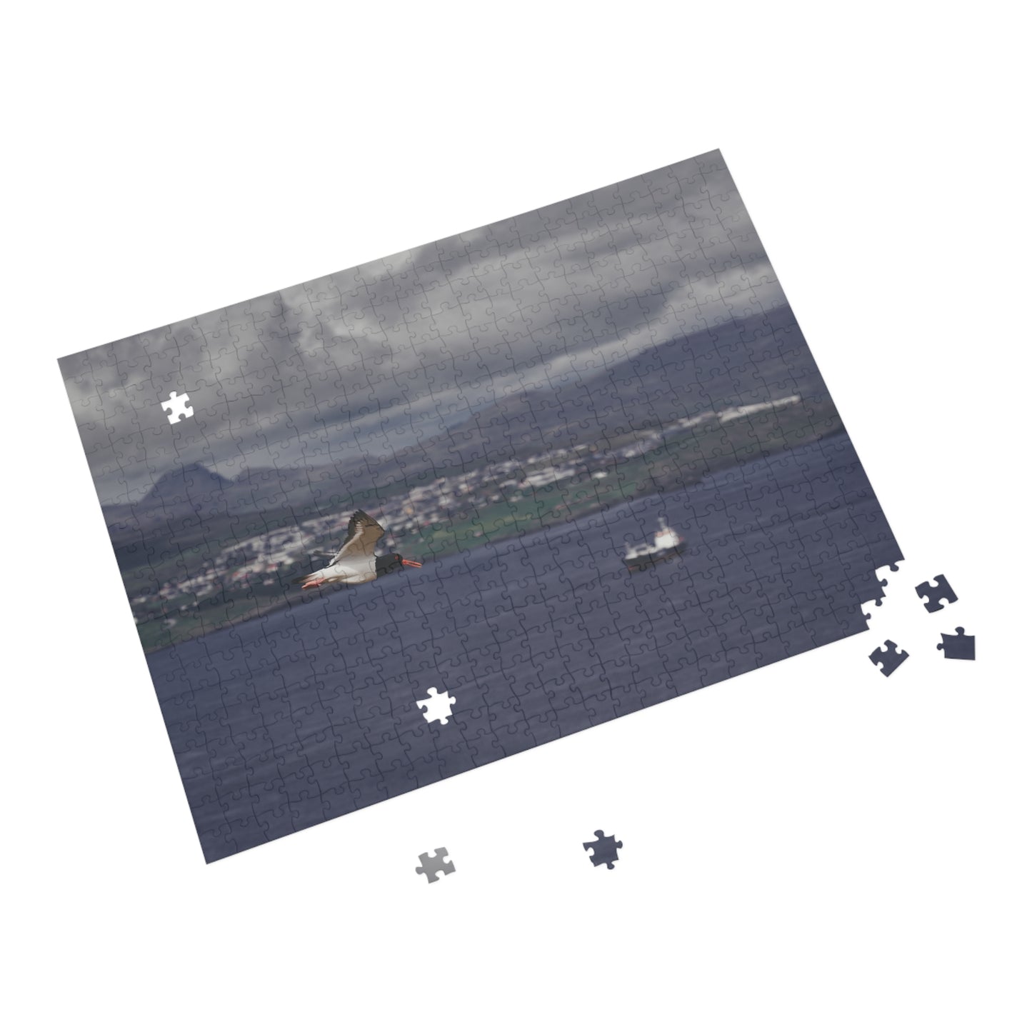 Puzzle - Oystercatcher in Flight Tórshavn, Faroe Islands - 252/500 Pieces