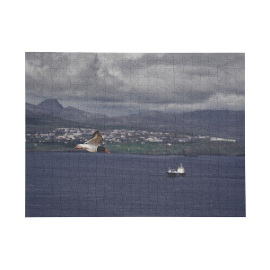 Puzzle - Oystercatcher in Flight Tórshavn, Faroe Islands - 252/500 Pieces