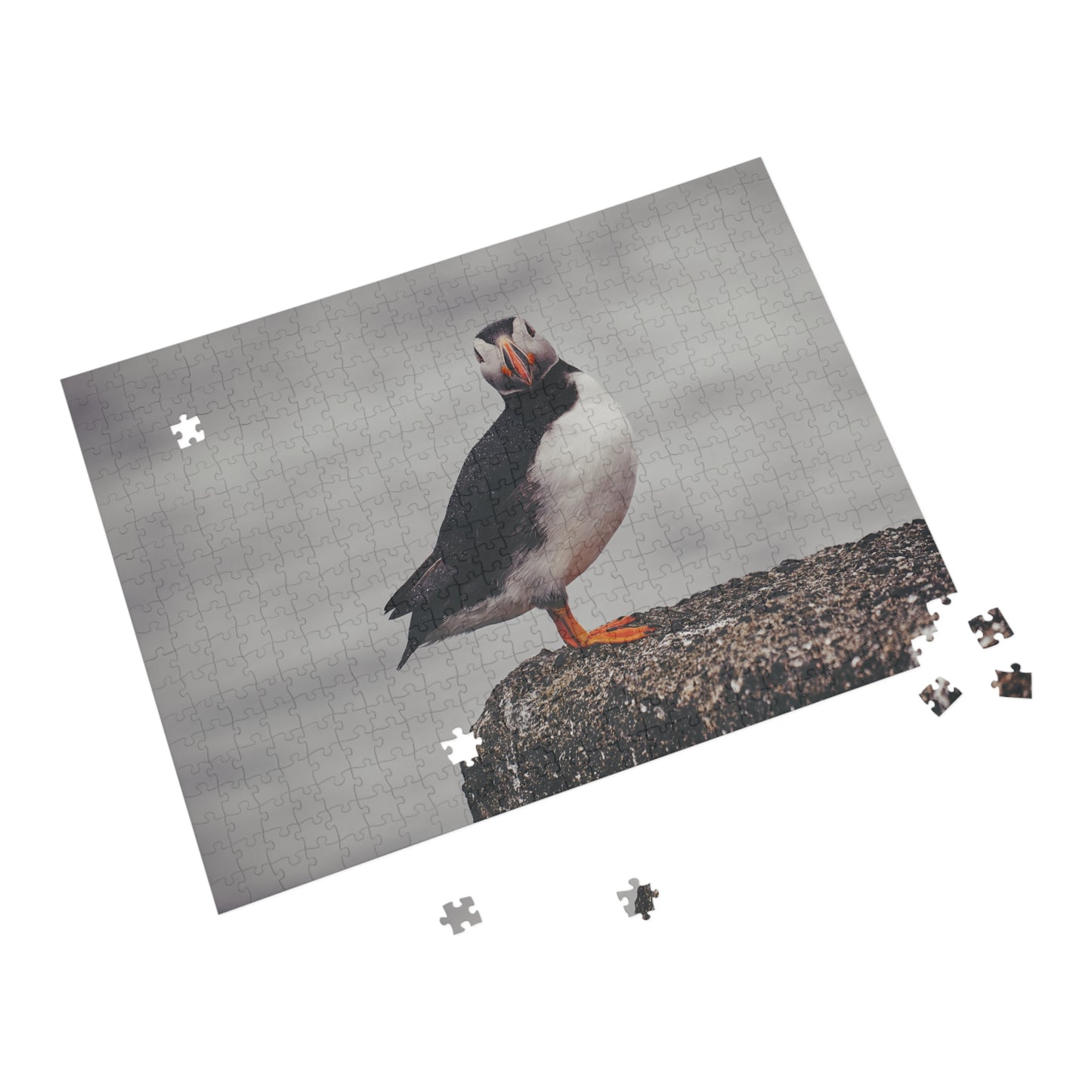 Puzzle - Puffin with Raindrops Photo by Robin Eriksson - 252/500 Pieces