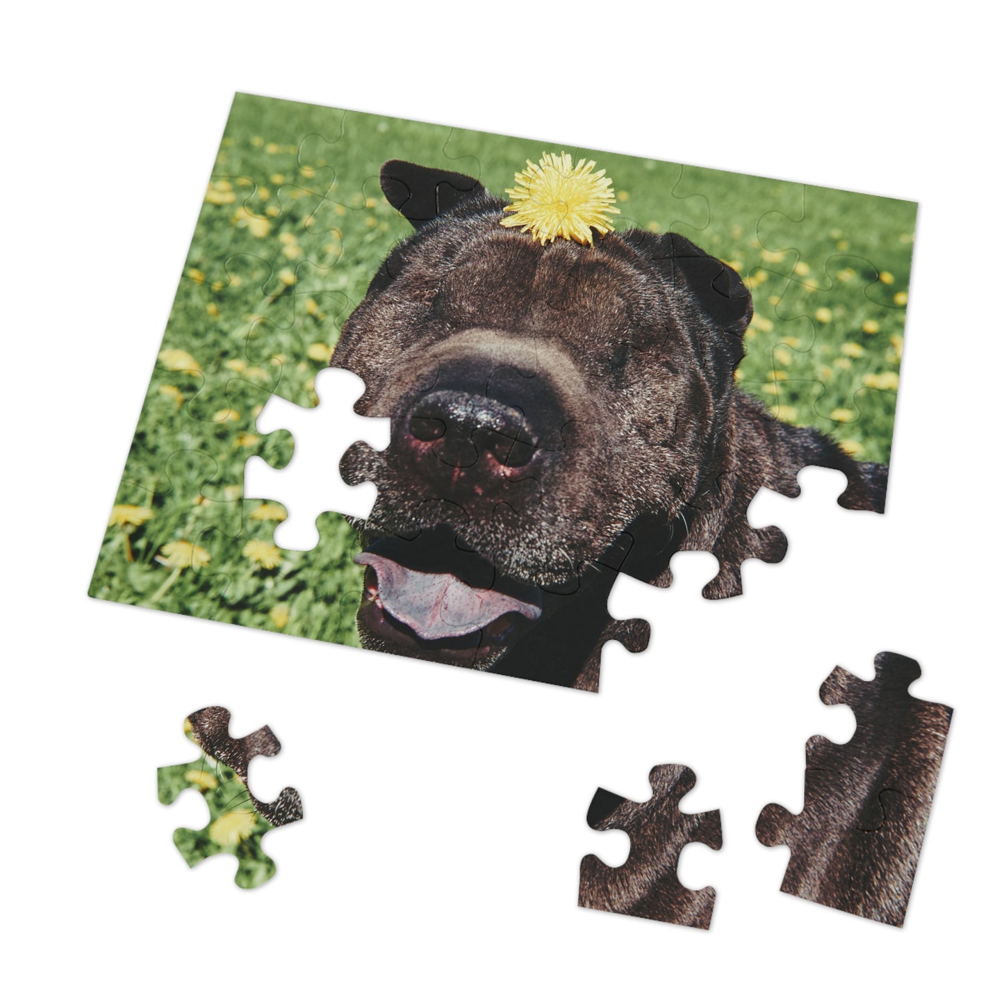 Children's Smiling Shar Pei Jigsaw Puzzle - 30/110/252 Pieces