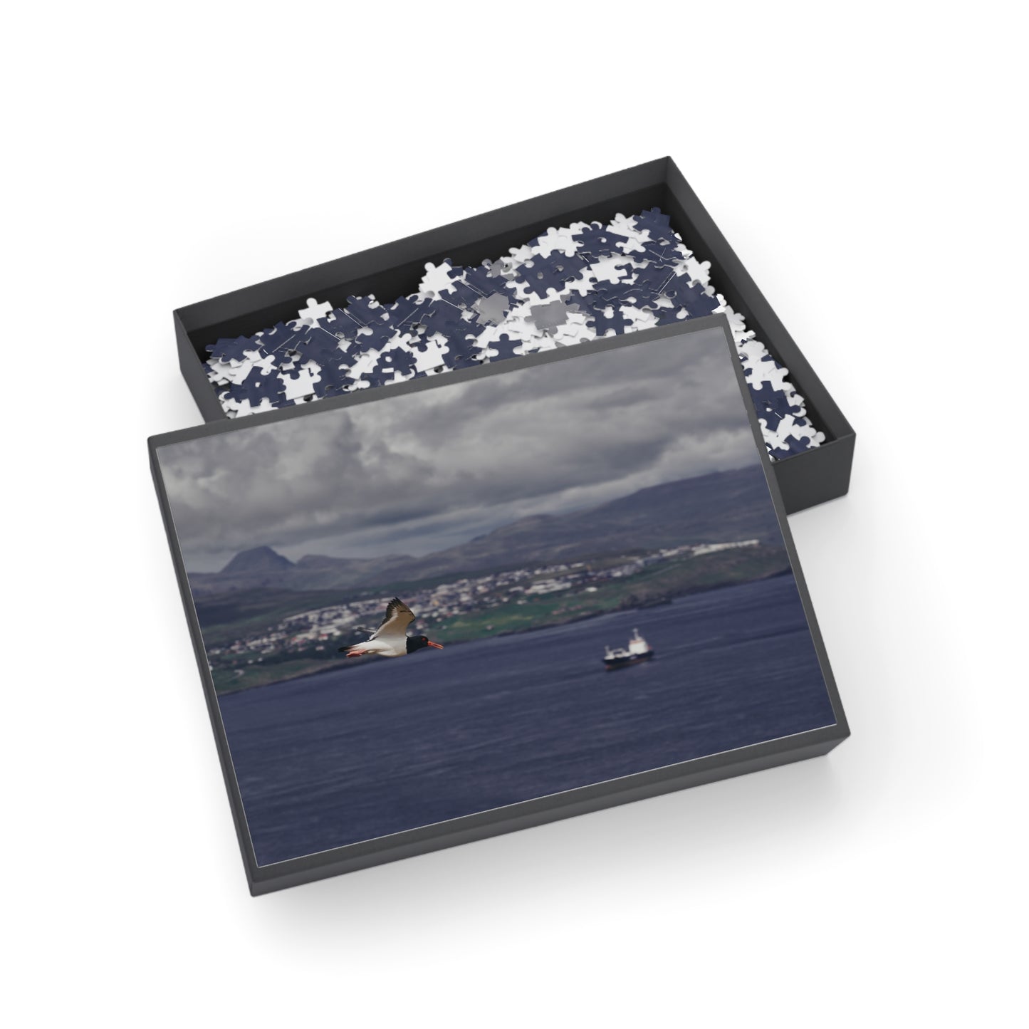 Puzzle - Oystercatcher in Flight Tórshavn, Faroe Islands - 252/500 Pieces