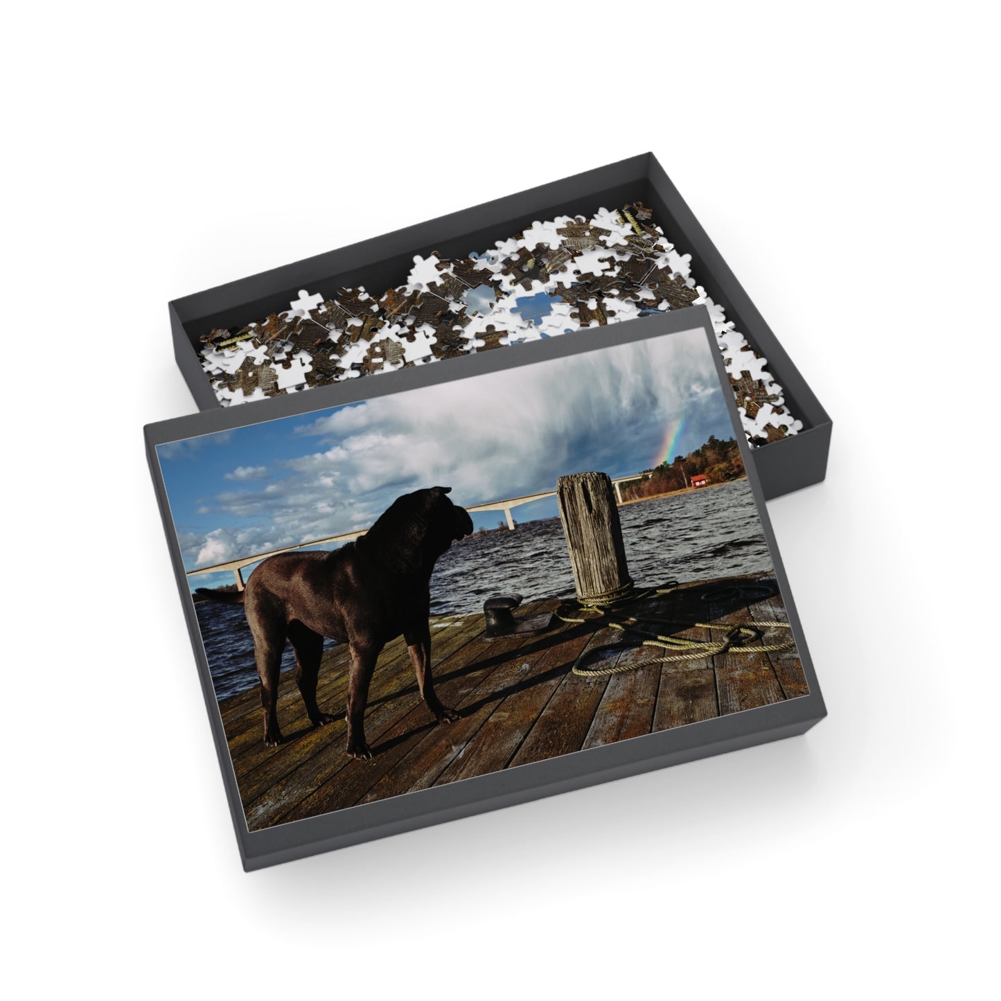 Puzzle - Shar Pei on Jetty with Rainbow - 252-500/1000 Pieces