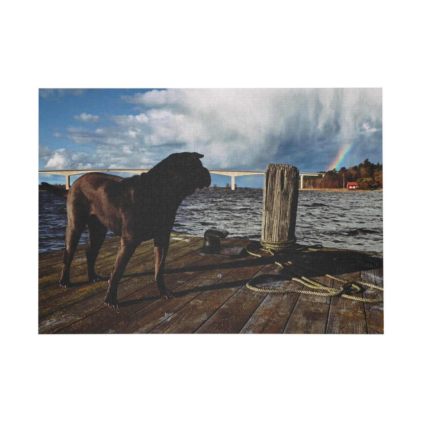 Puzzle - Shar Pei on Jetty with Rainbow - 252-500/1000 Pieces