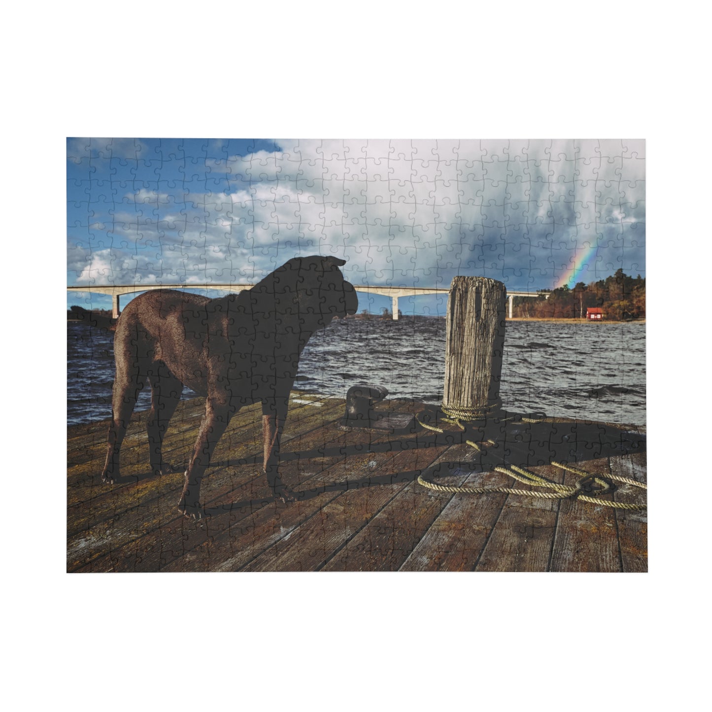 Puzzle - Shar Pei on Jetty with Rainbow - 252-500/1000 Pieces